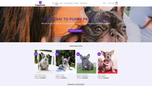Screenshot of