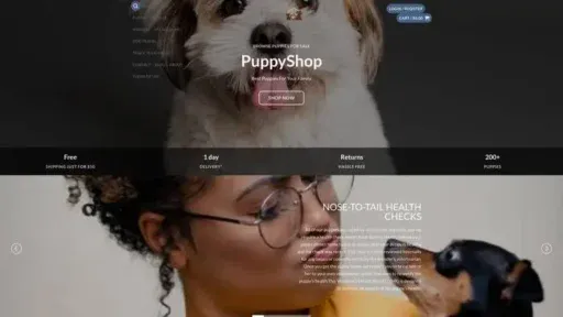 Screenshot of