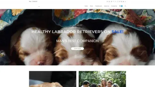 Screenshot of