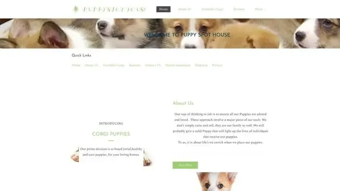 Screenshot of