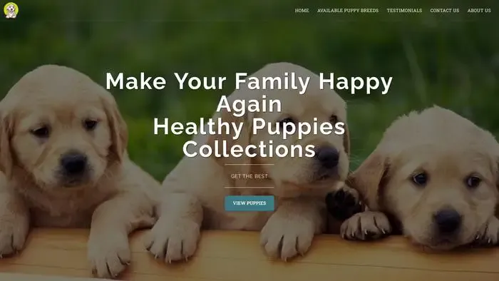 Screenshot of