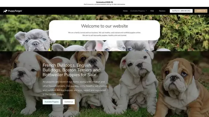 Screenshot of
