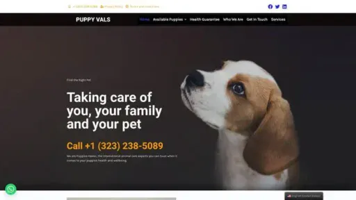 Screenshot of