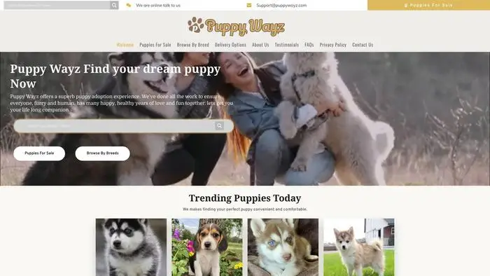 Screenshot of