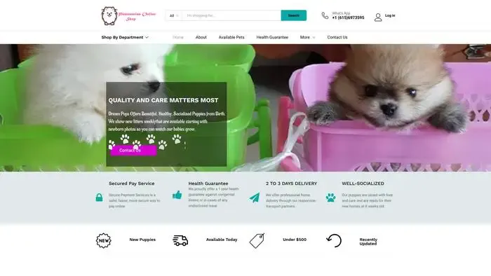 Screenshot of