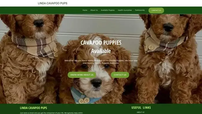 Screenshot of