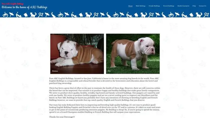 Screenshot of