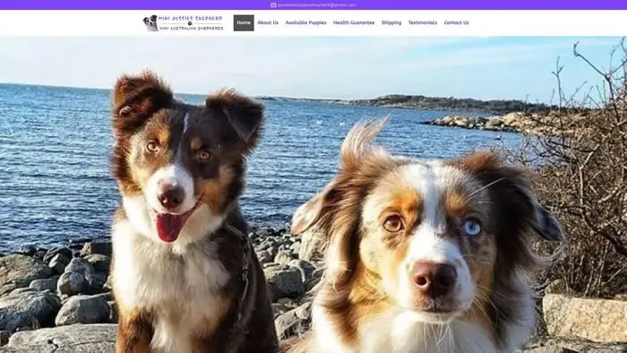 Screenshot of