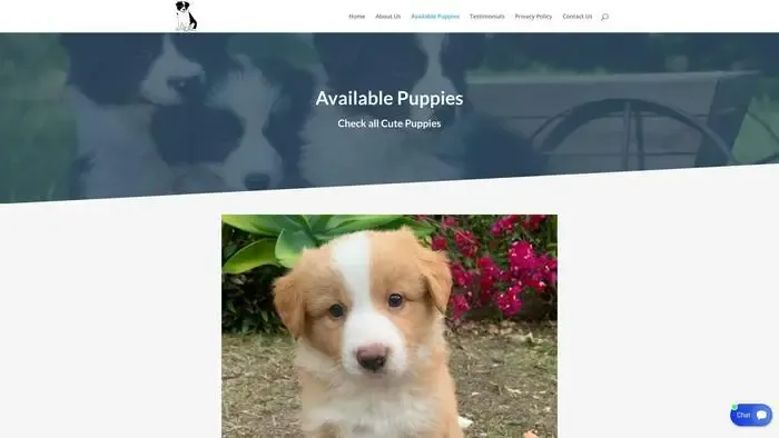 Screenshot of
