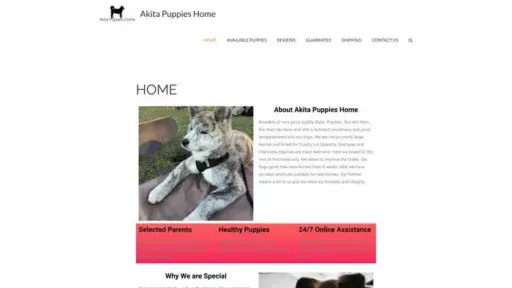 Screenshot of