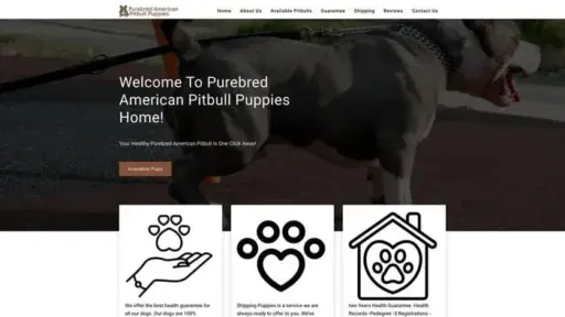 Screenshot of