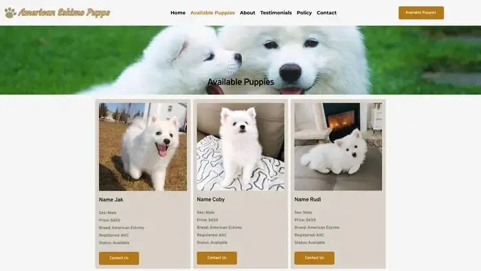 Screenshot of