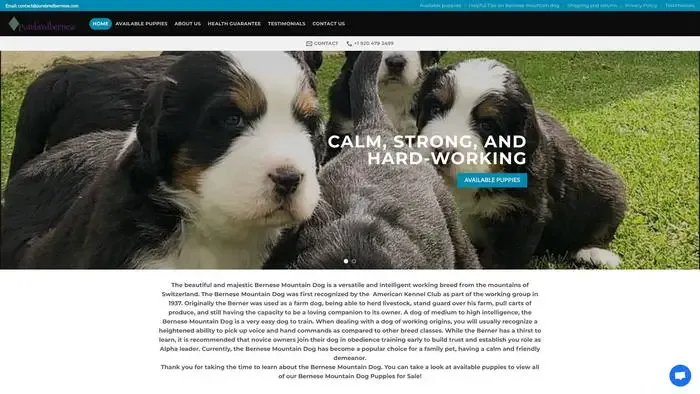 Screenshot of