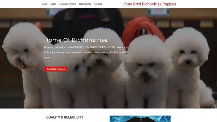 Screenshot of