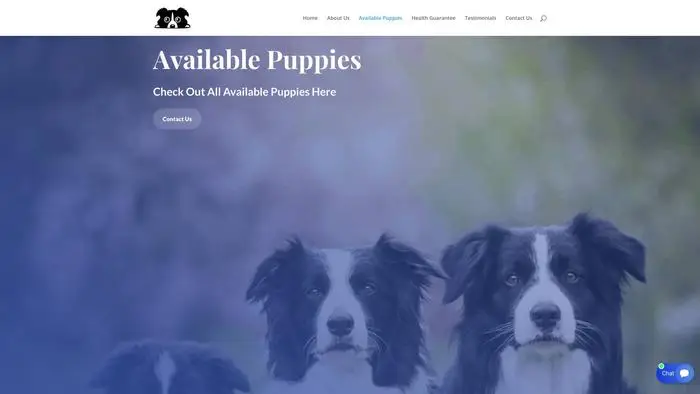 Screenshot of