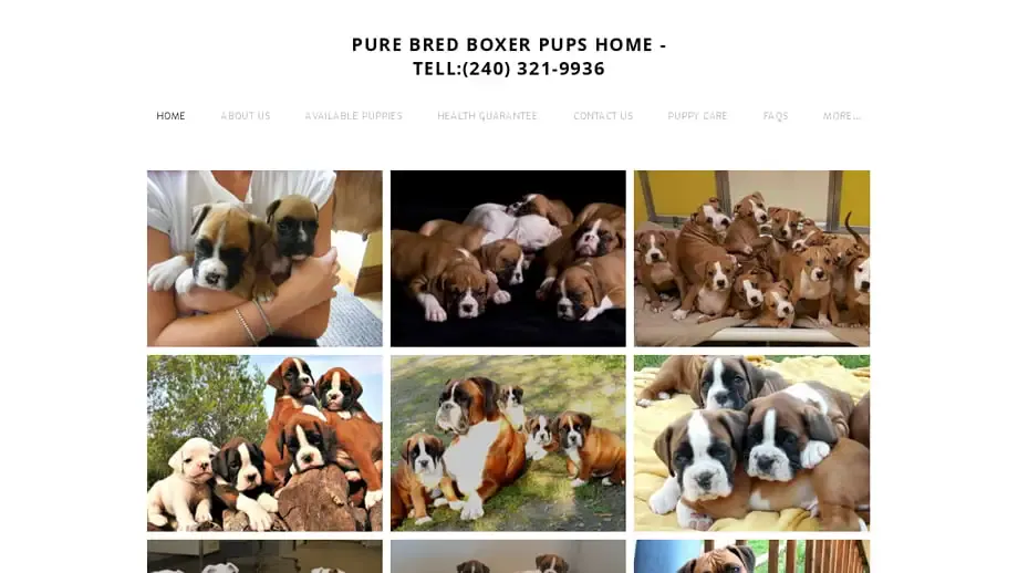 Screenshot of