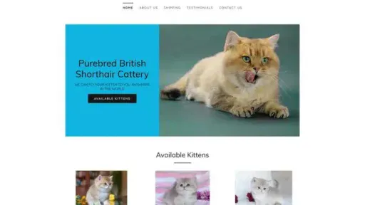 Screenshot of