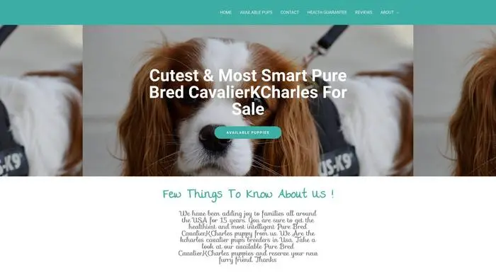 Screenshot of