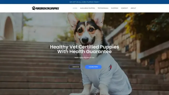 Screenshot of