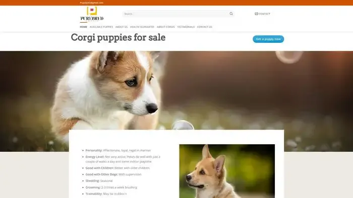 Screenshot of