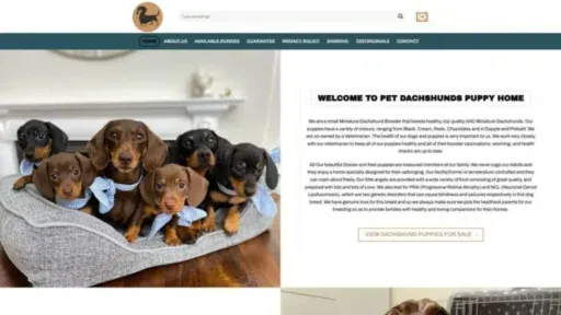 Screenshot of||