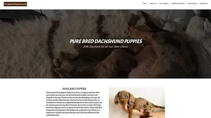 Screenshot of