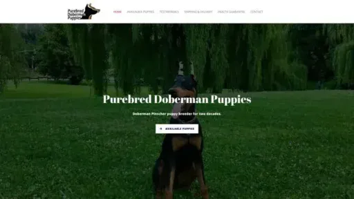 Screenshot of