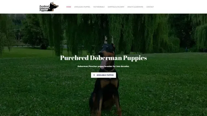Screenshot of