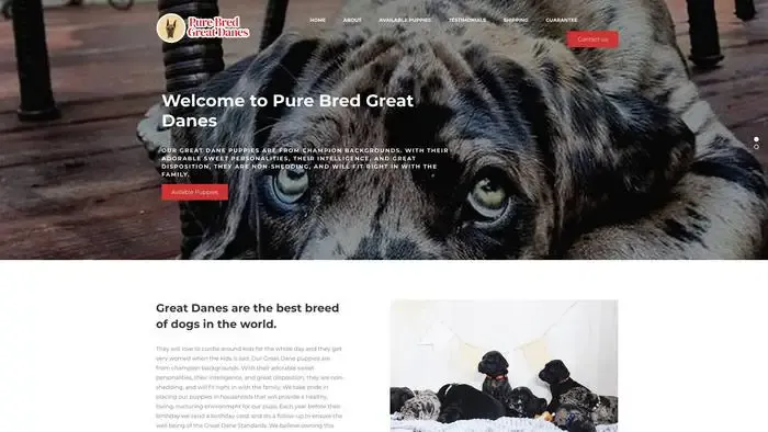 Screenshot of