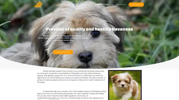 Screenshot of