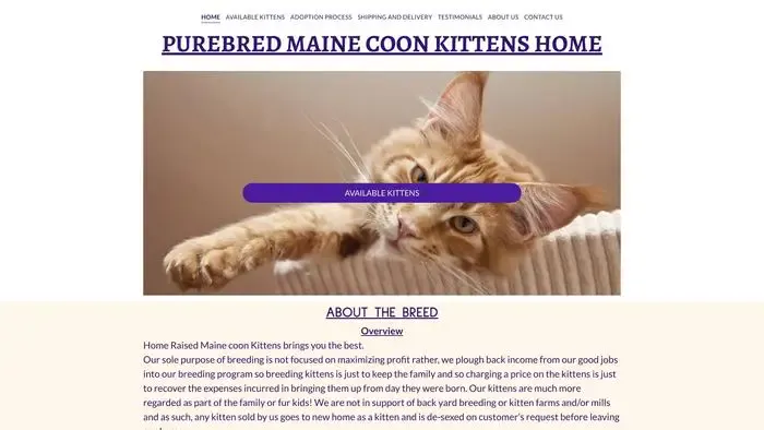 Screenshot of