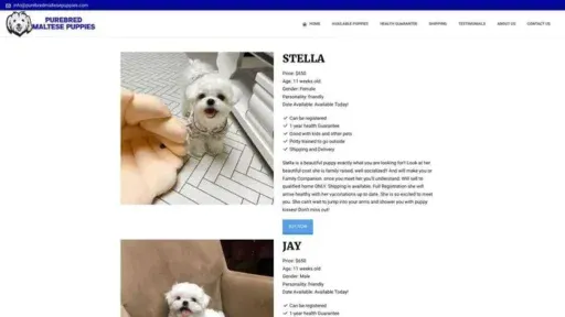 Screenshot of