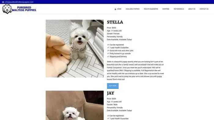 Screenshot of