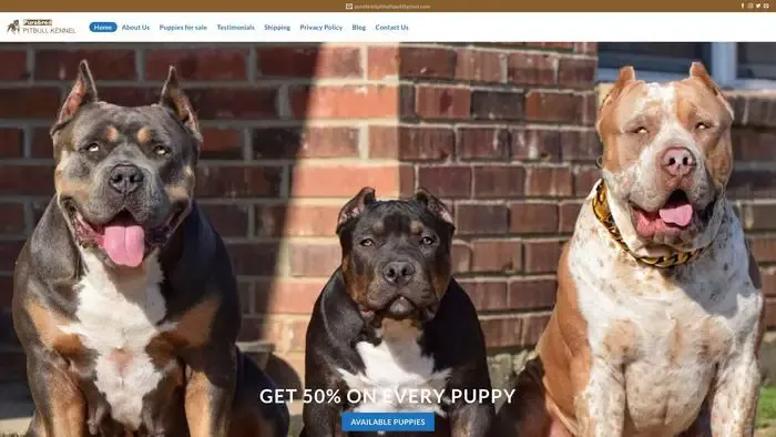 Screenshot of