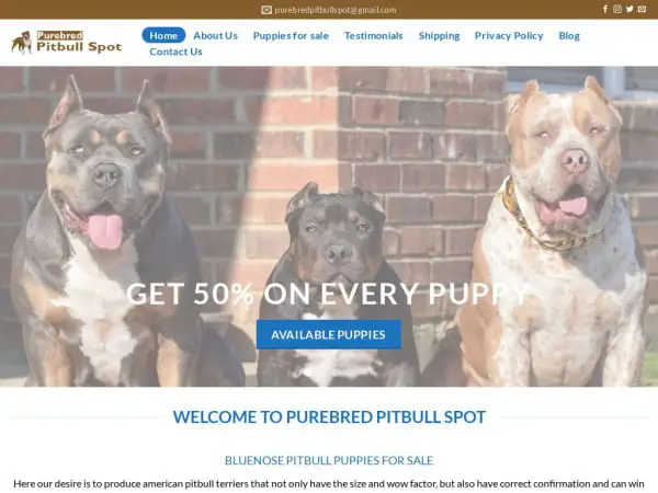 Screenshot of