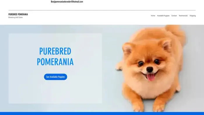 Screenshot of