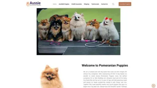Screenshot of