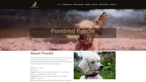 Screenshot of