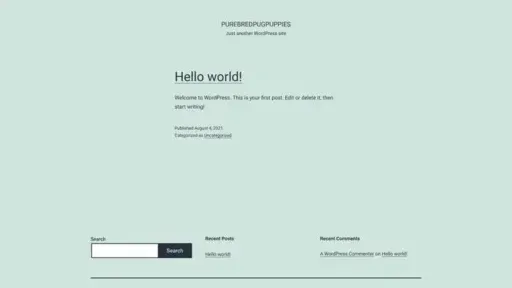 Screenshot of