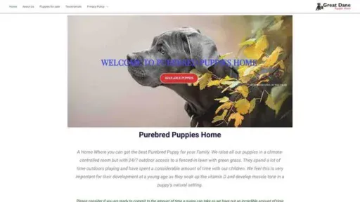Screenshot of