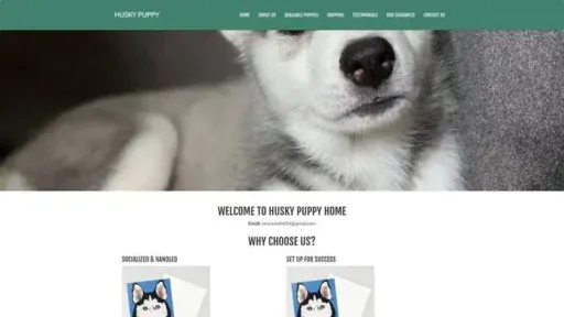 Screenshot of