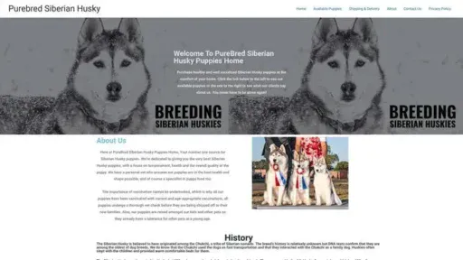 Screenshot of