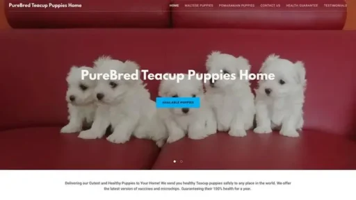 Screenshot of