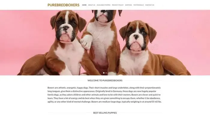 Screenshot of