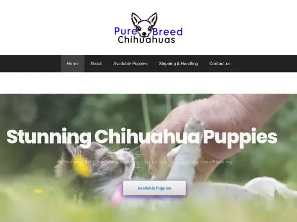 Screenshot of