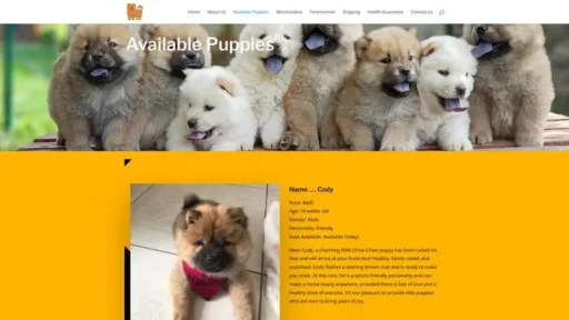 Screenshot of