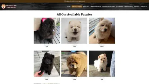 Screenshot of