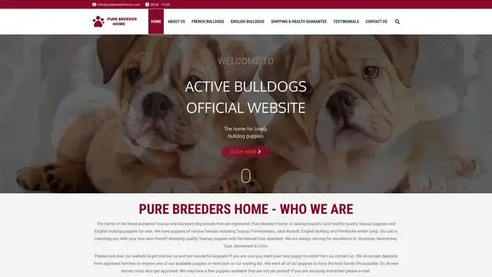 Screenshot of