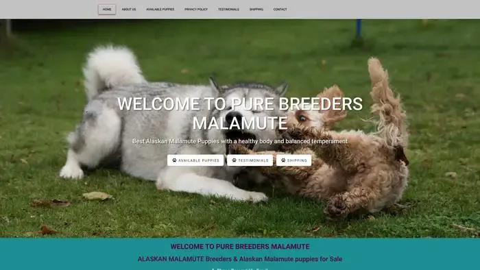 Screenshot of