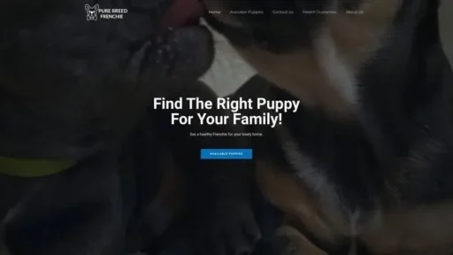 Screenshot of